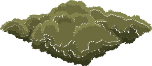 Green tree crown