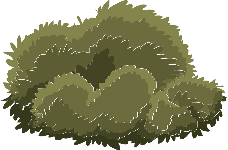 Green tree crown