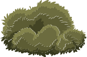 Green tree crown