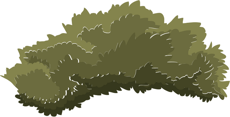 Green tree crown