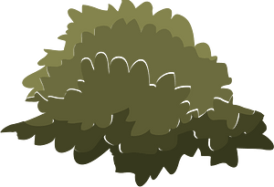 Green tree crown