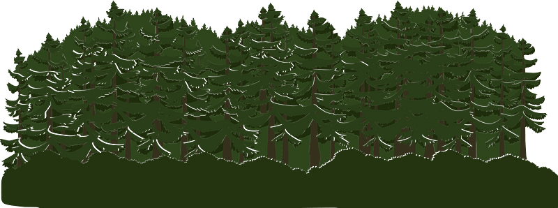 Green tree crown