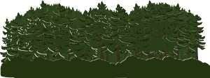 Green tree crown