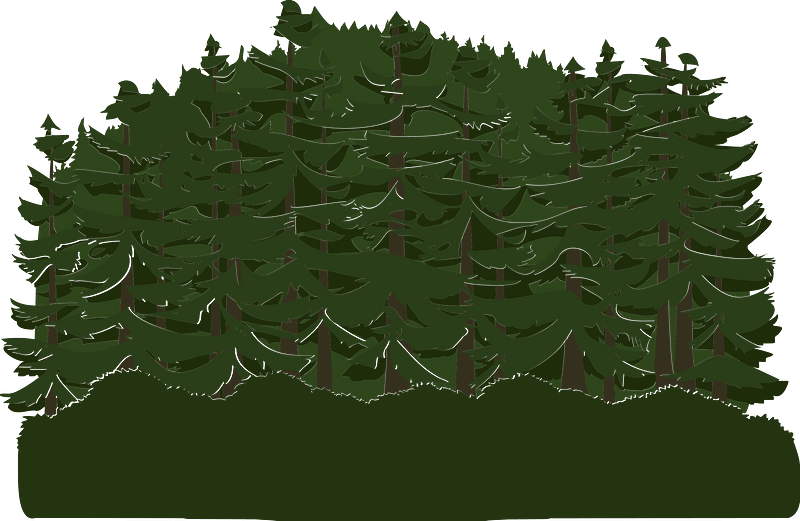 Green tree crown