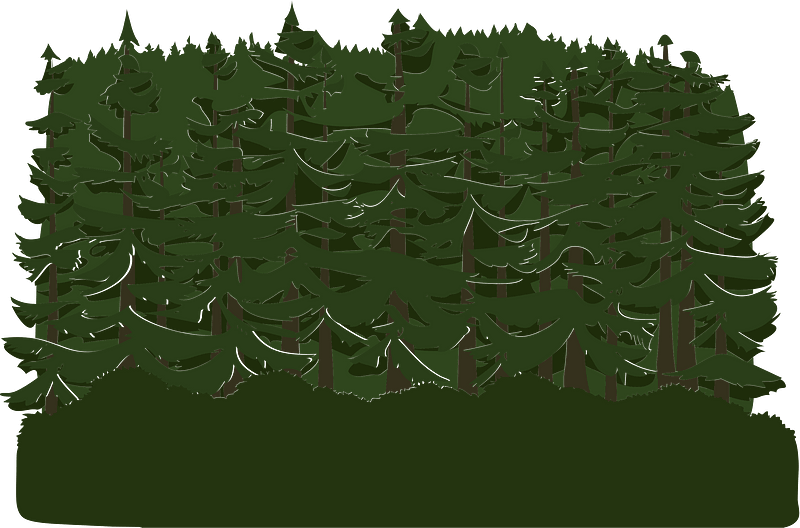 Green tree crown