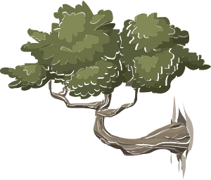 Mountain bonsai