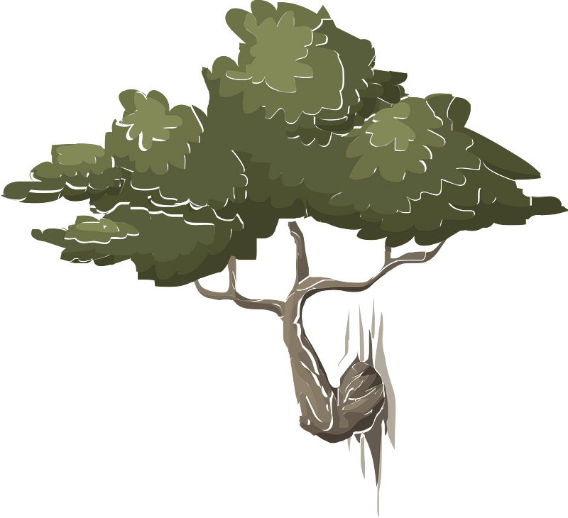 Mountain bonsai