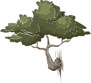 Mountain bonsai