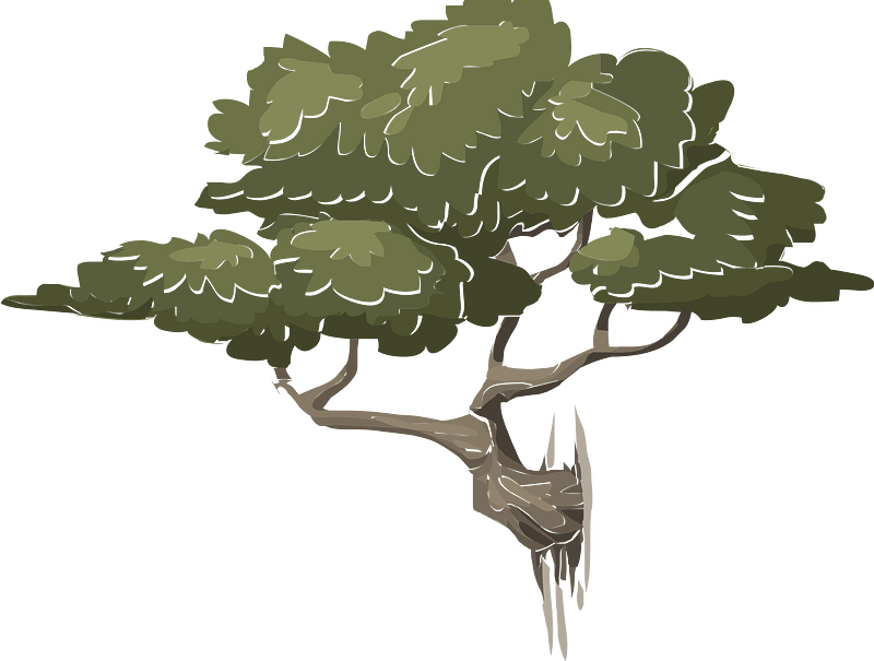 Mountain bonsai