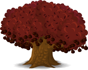 Red spice tree