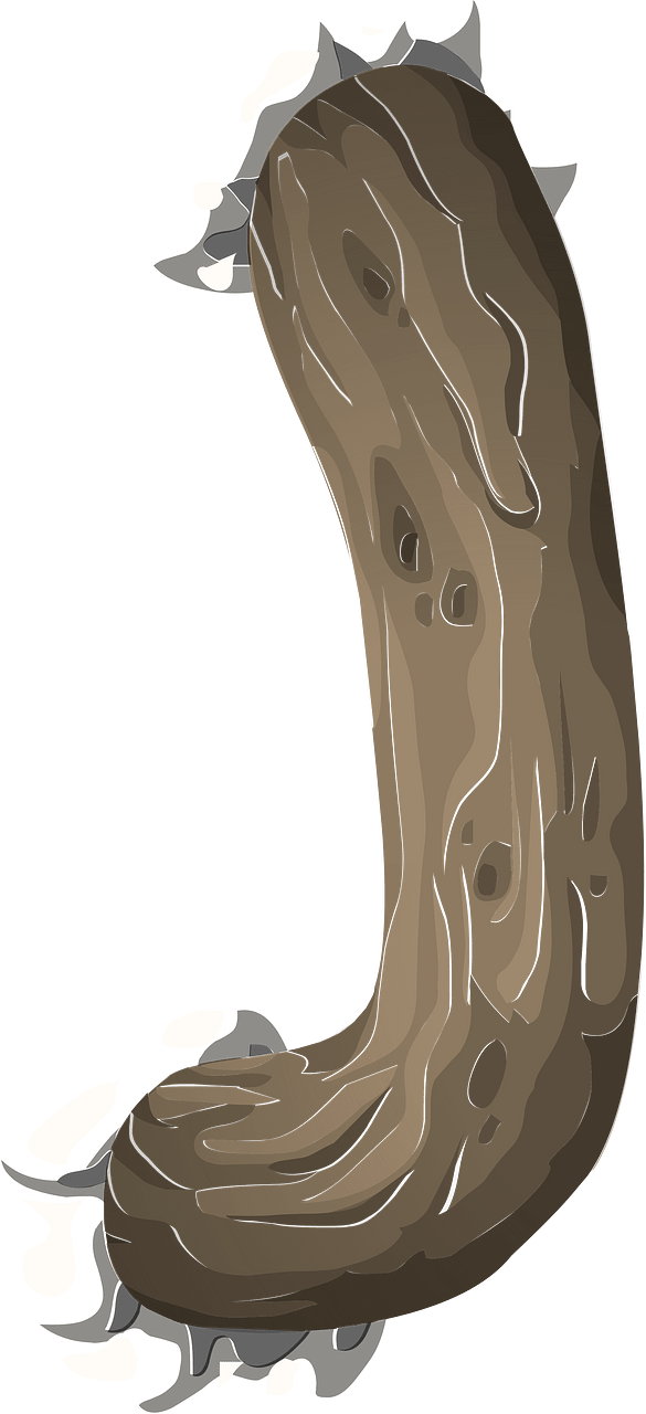 Roots