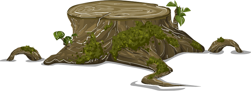Short brown stump