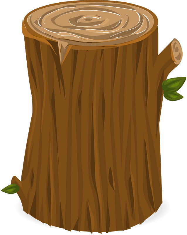 Tall brown stump