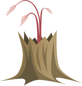 Tall brown stump