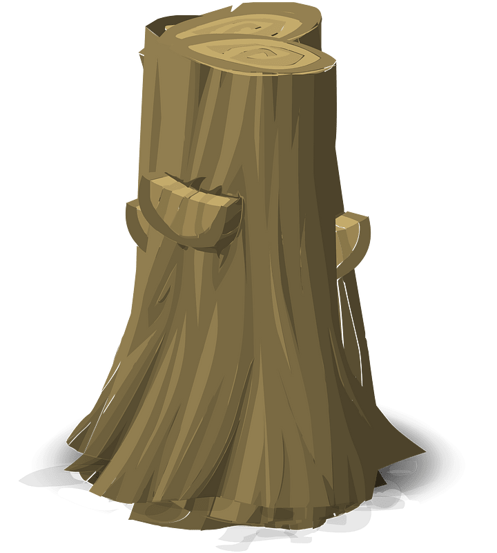 Tall brown stump