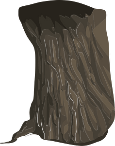 Trunk