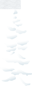 White snow coniferous tree