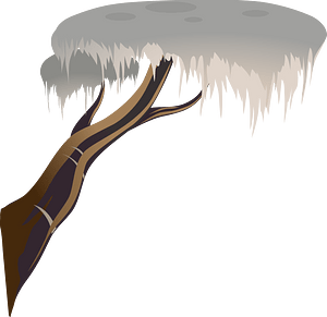 White tree branch