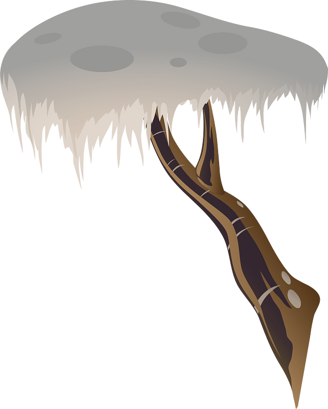 White tree branch