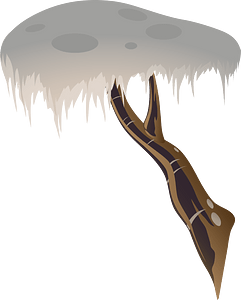 White tree branch
