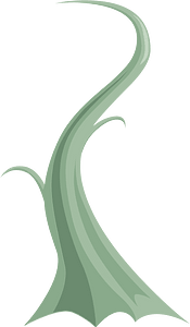 Light green vine