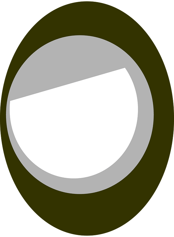 Brown vertical eye