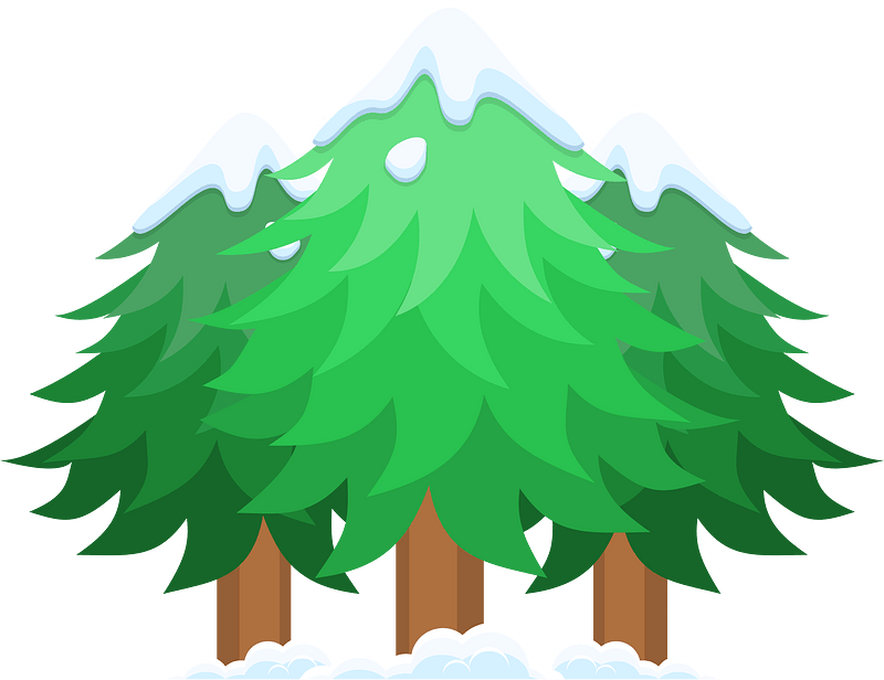 Green winter tree