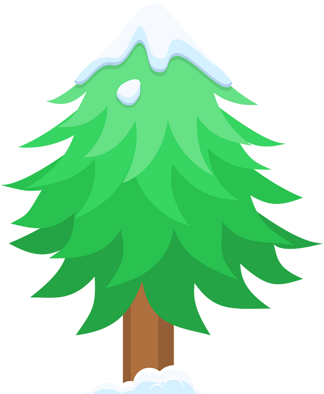 Green wintertree