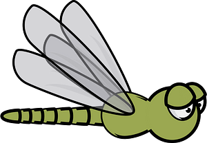 Green fly