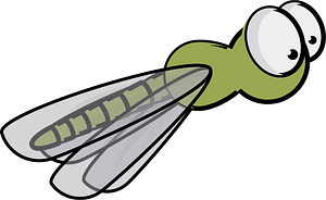 Green fly