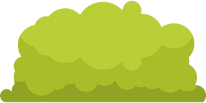 Green bush