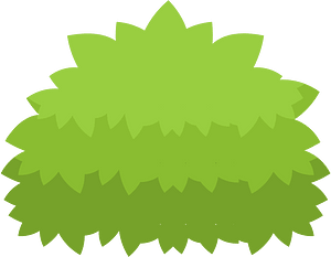 Green bush