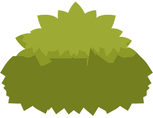 Green bush