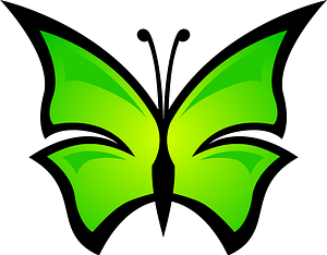 Abstract butterfly