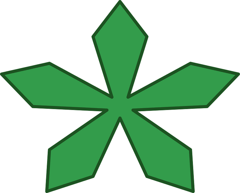 Green pentagonal shape