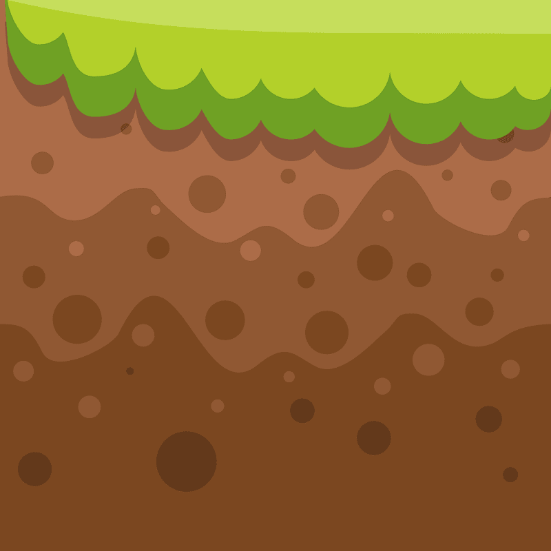 Brown soil green grass