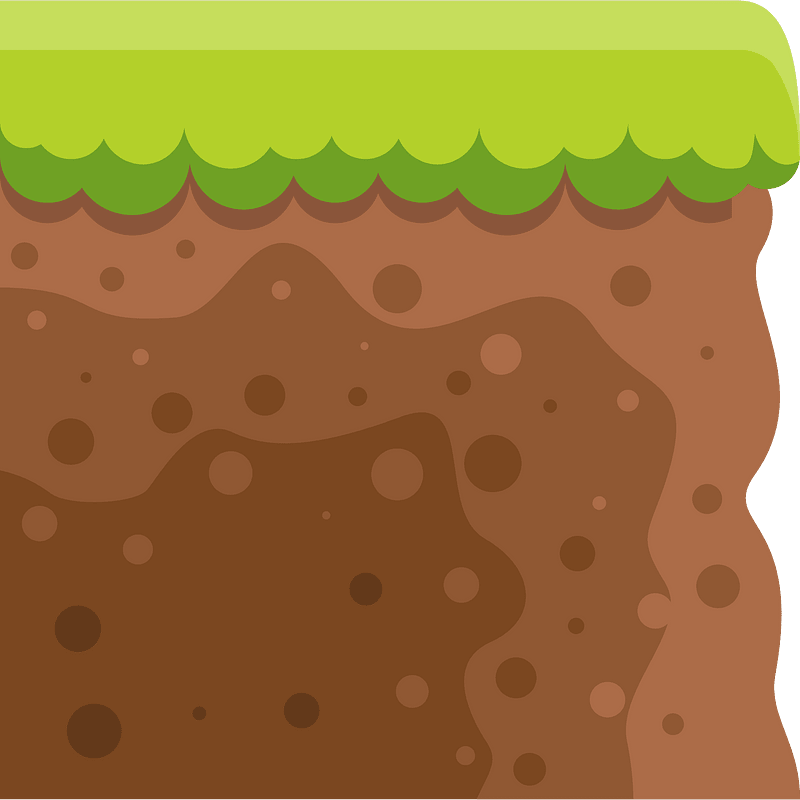 Brown soil green grass