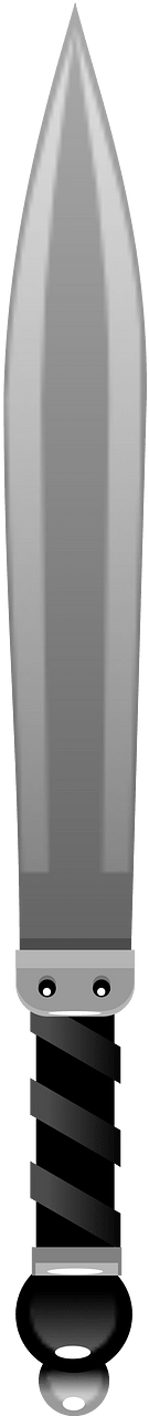 Black sword
