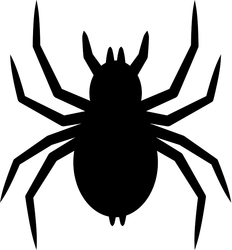 クモ