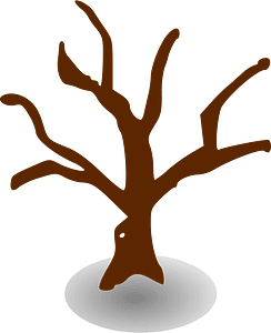 Brown dead tree