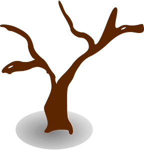 Brown dead tree
