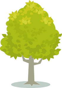 Light green tree