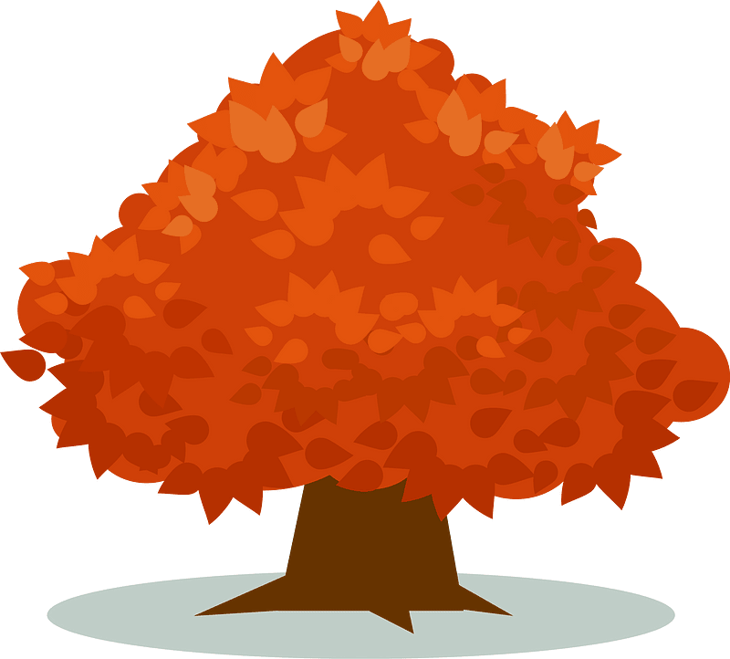 Orange tree