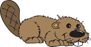 Cute beaver