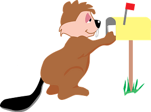 Beaver receiving mail