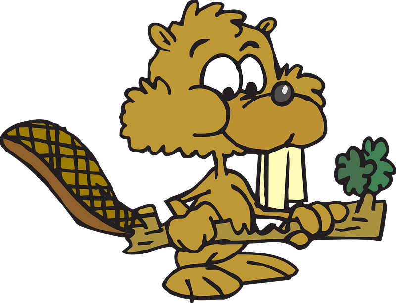 Beaver holding log