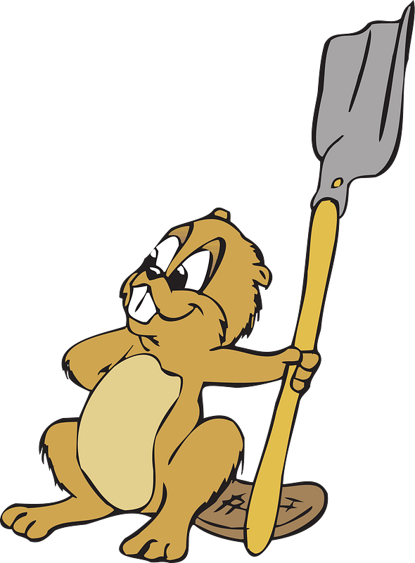 Beaver with a shovel