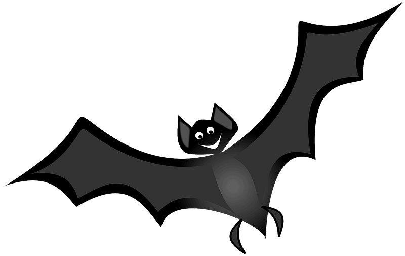 Bat