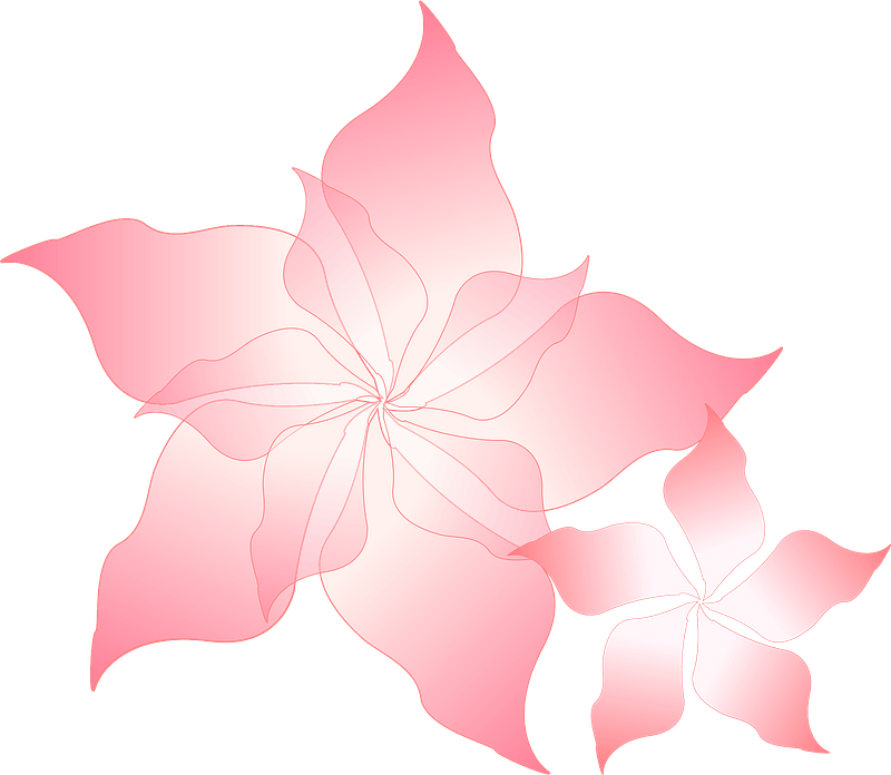 粉红色的花