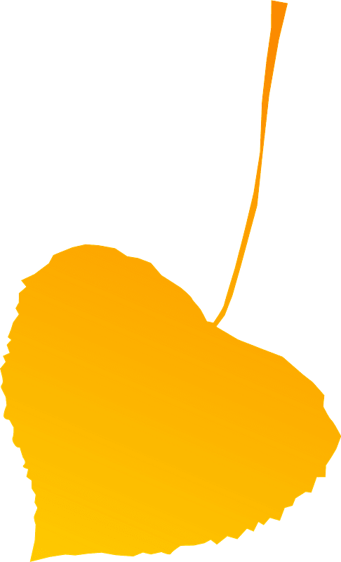 Autumn leaf yellow